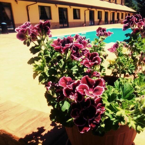 Del Riccio Hotel Martirano Экстерьер фото